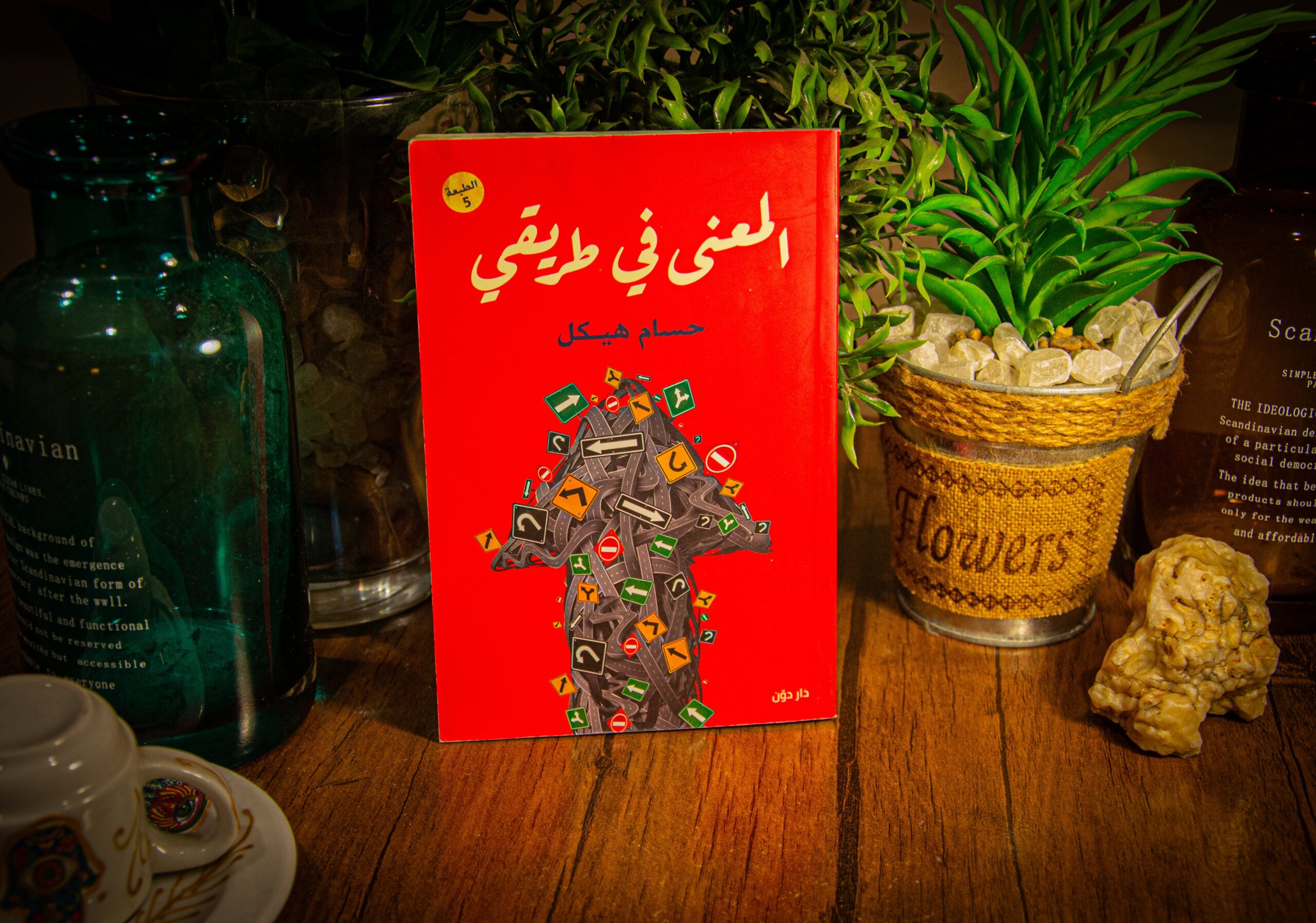 حسام هيكل