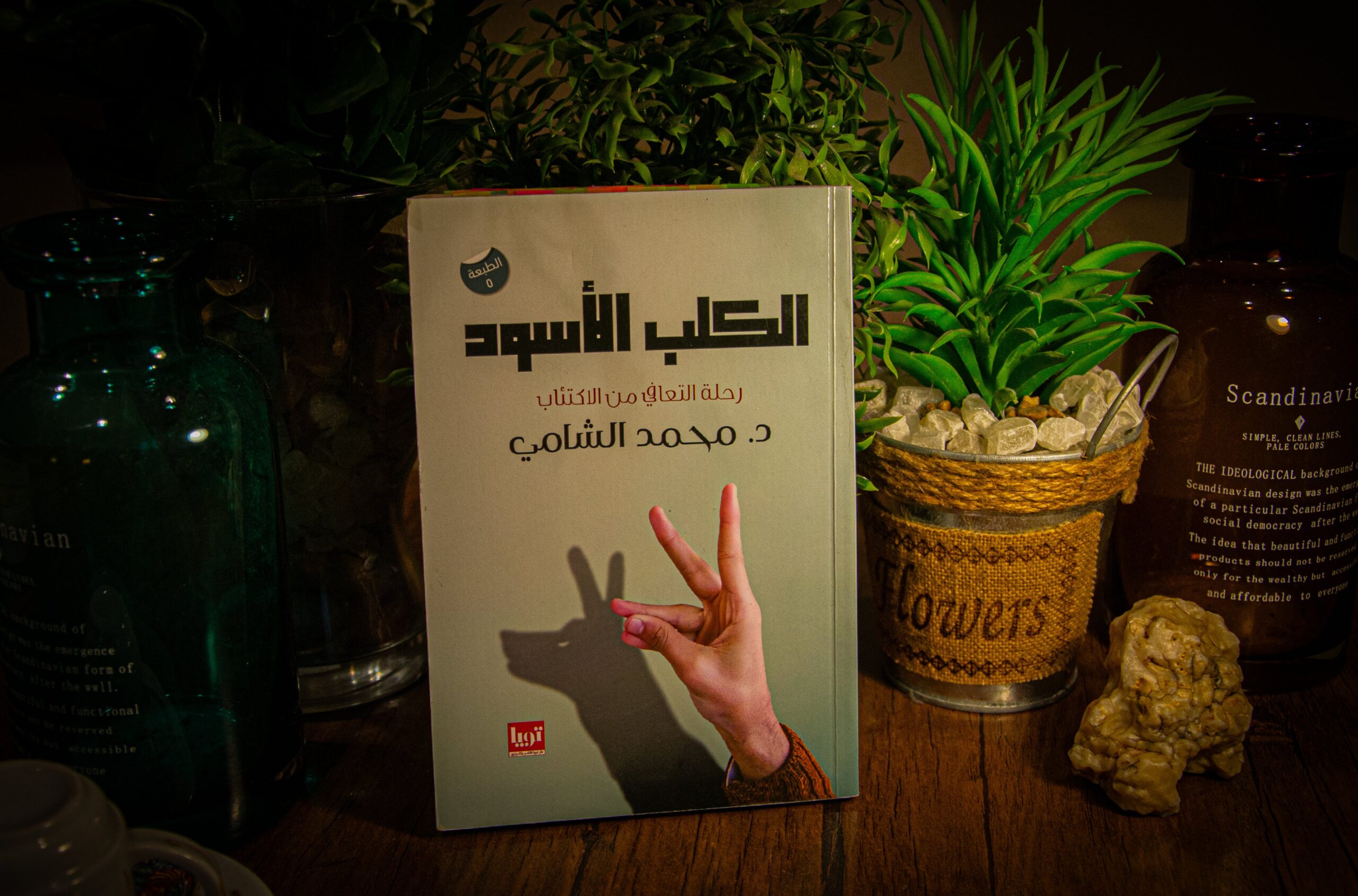 محمد الشامي