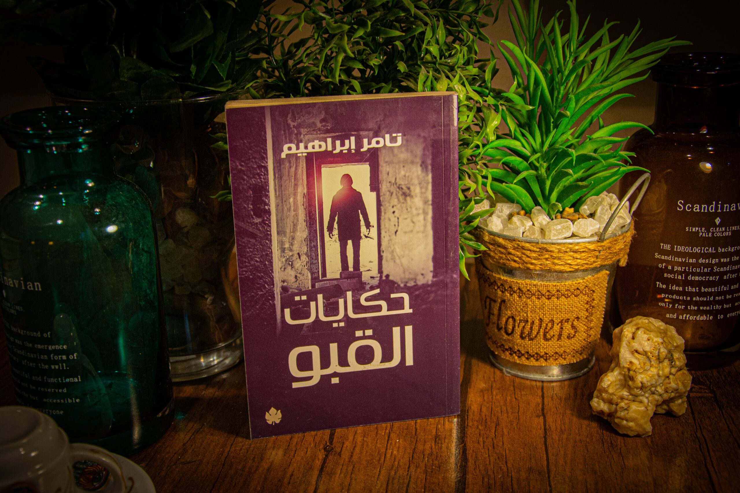 تامر إبراهيم