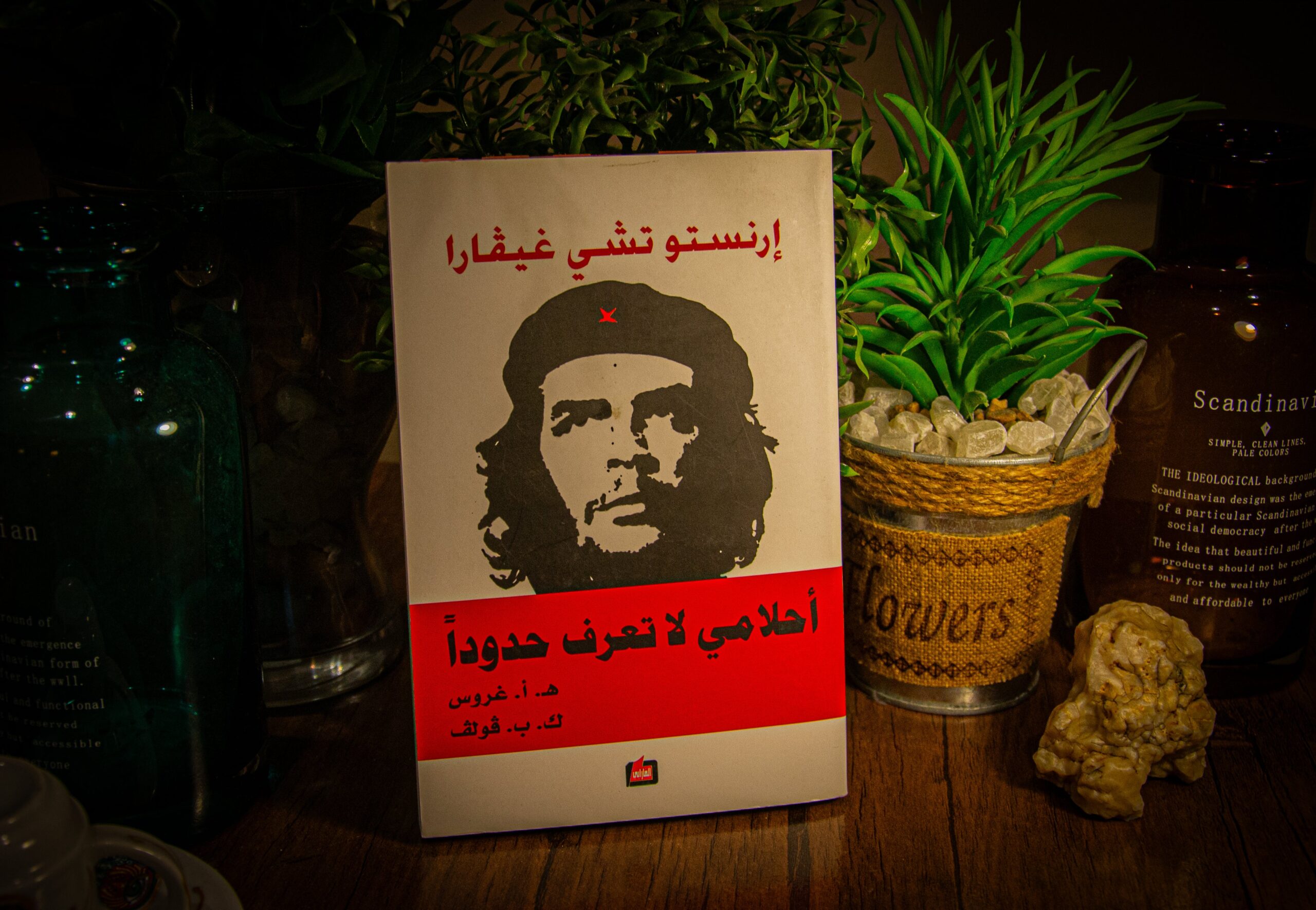 ارنستو تشي جيفارا