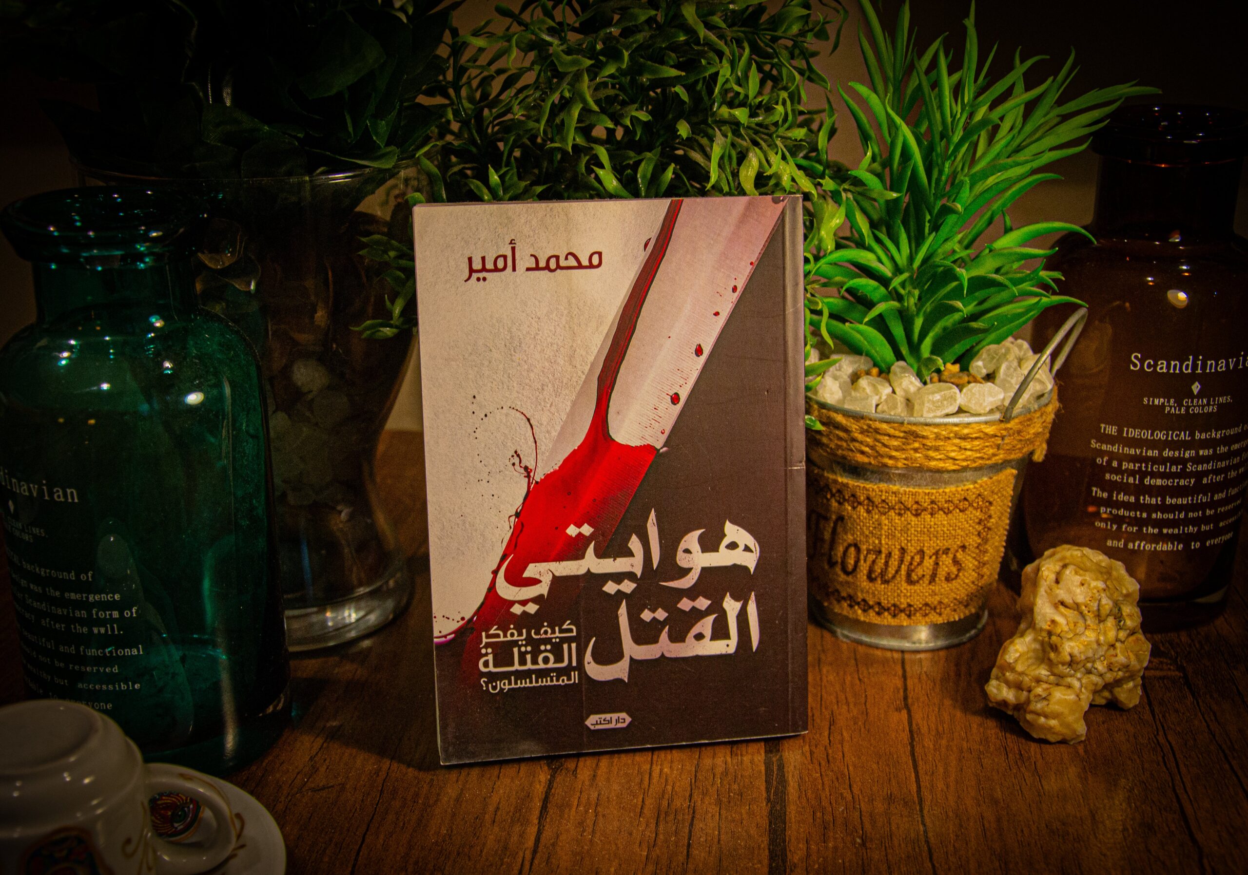محمد أمير