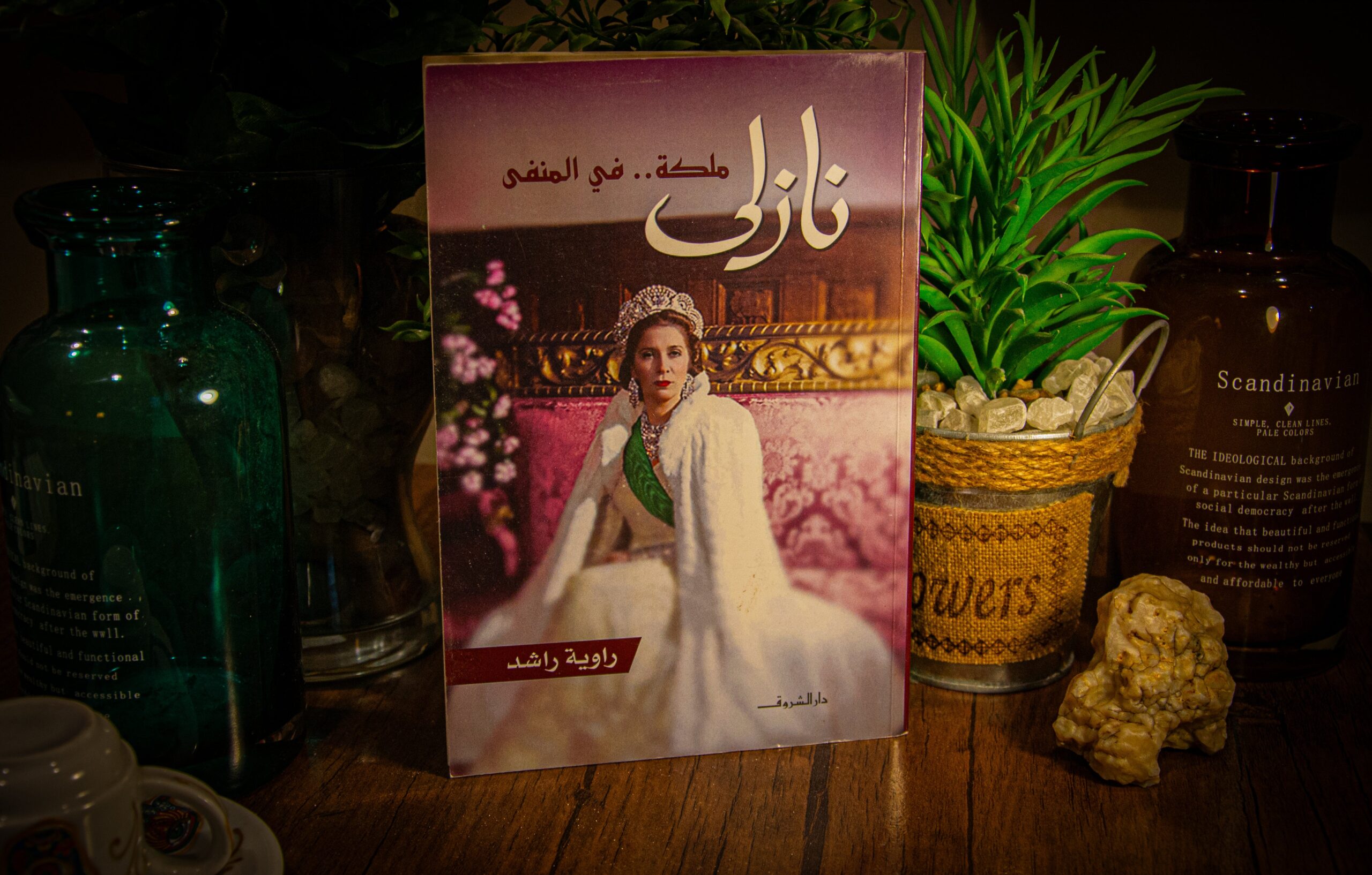 راوية رشد