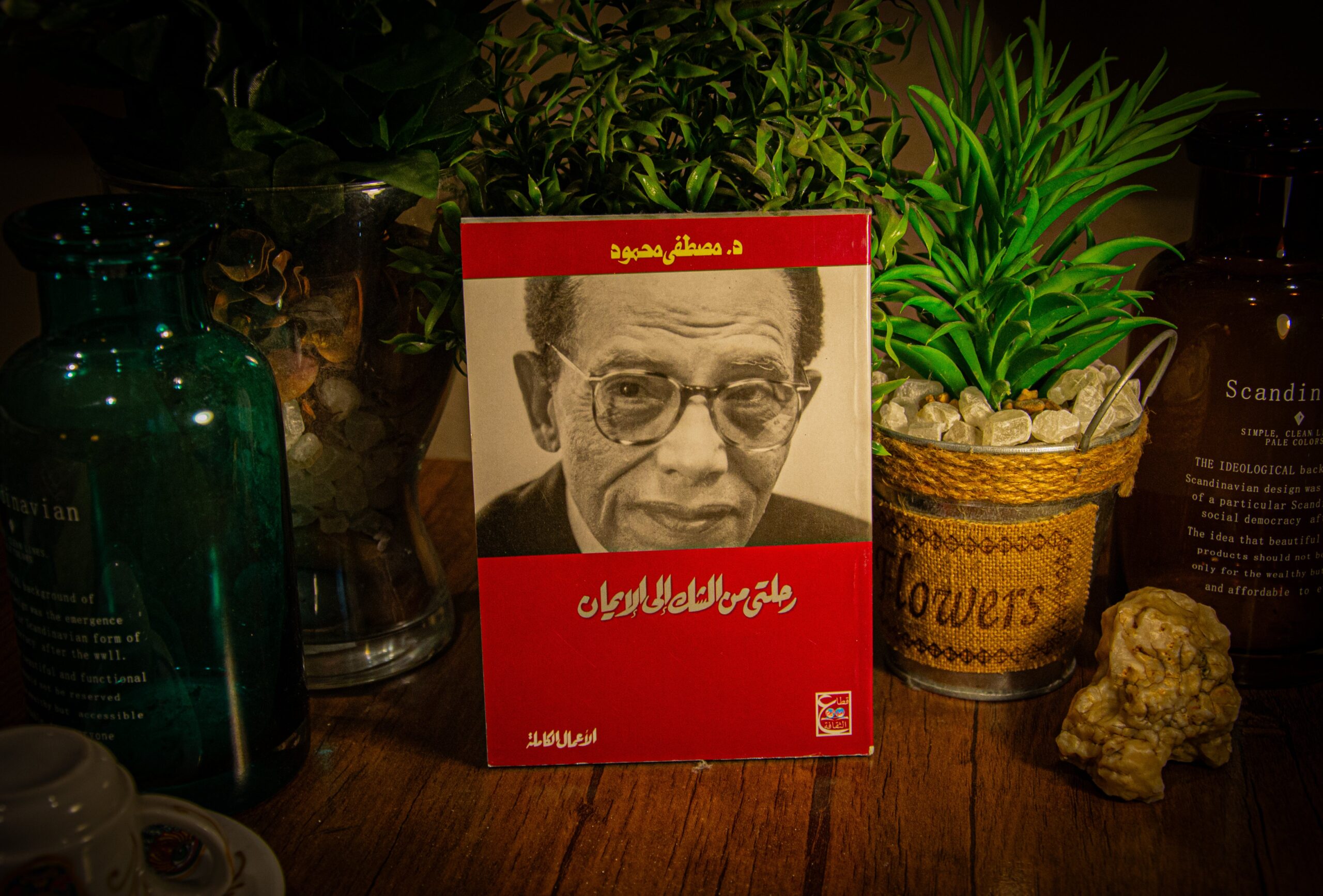 مصطفى محمود